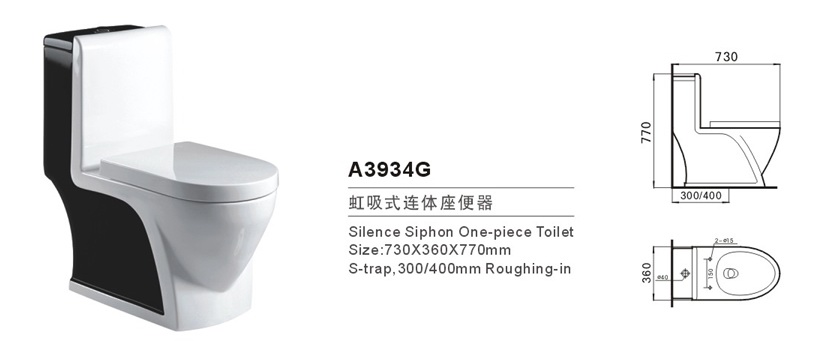 Siphonic one piece toilet(Sanitary ware toilet saving water toilet)