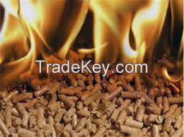 biomass fuel