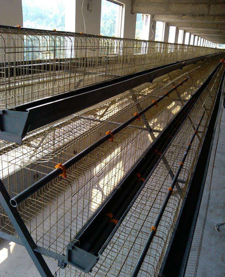 Battery Layer Chicken Cage/broiler cages - A/H Type