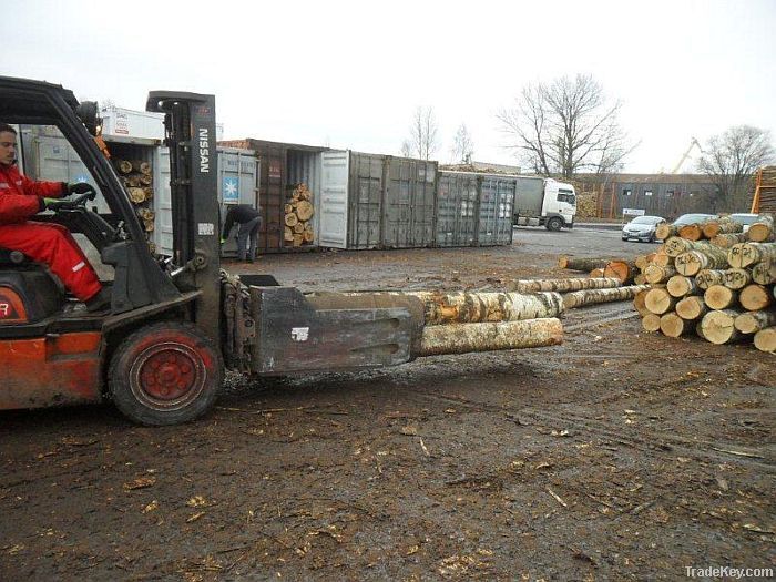 White birch logs