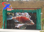 Offer full color LED display advertisement