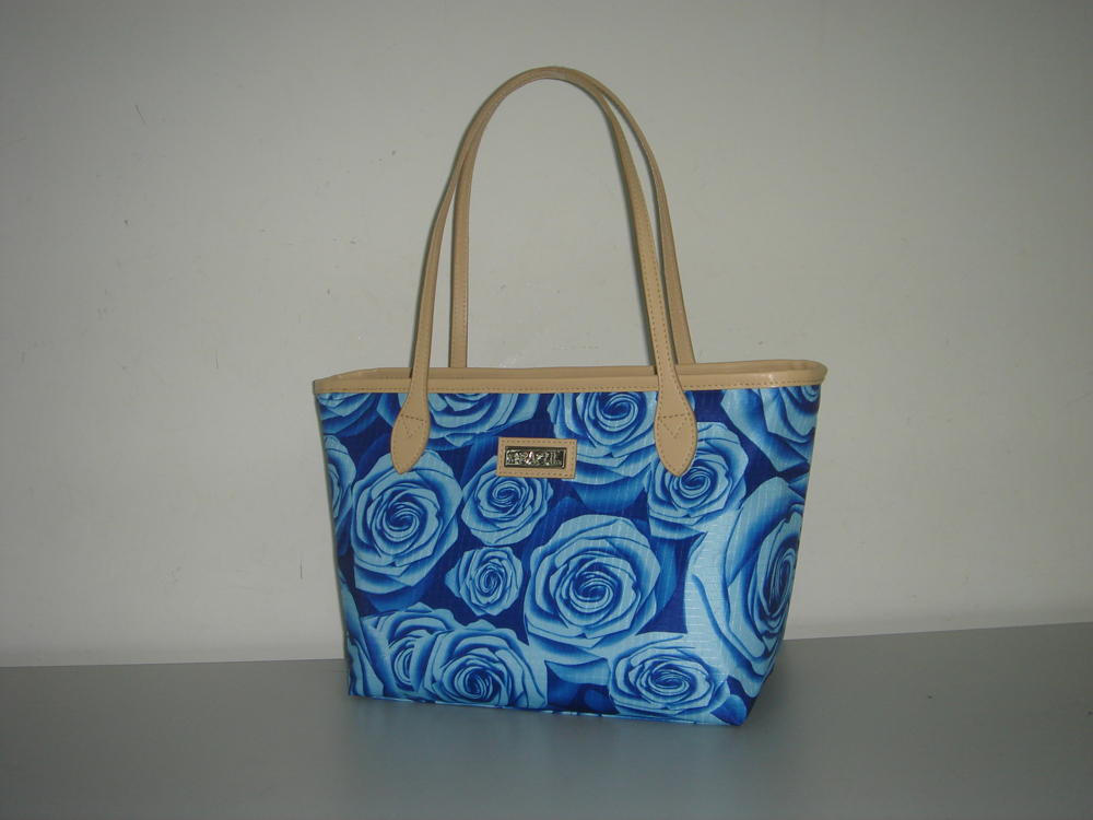 insulated lunch bag , fashion styles