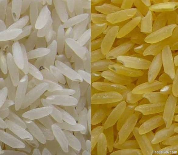 Sona Masoori Rice /Rice