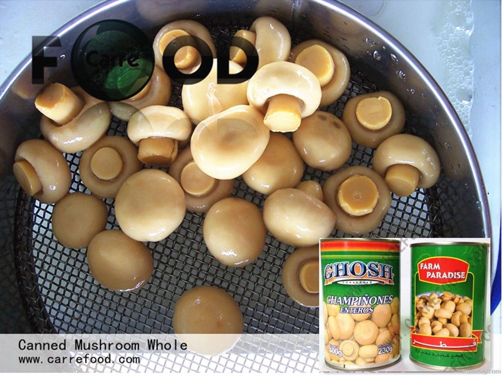 Canned Mushroom Piece And Stems