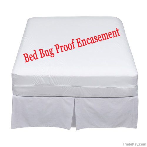 Bed bug covers