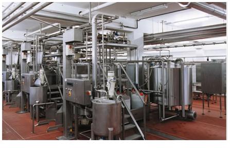 Packaging Machines, Fruits Processing Plant Equipment