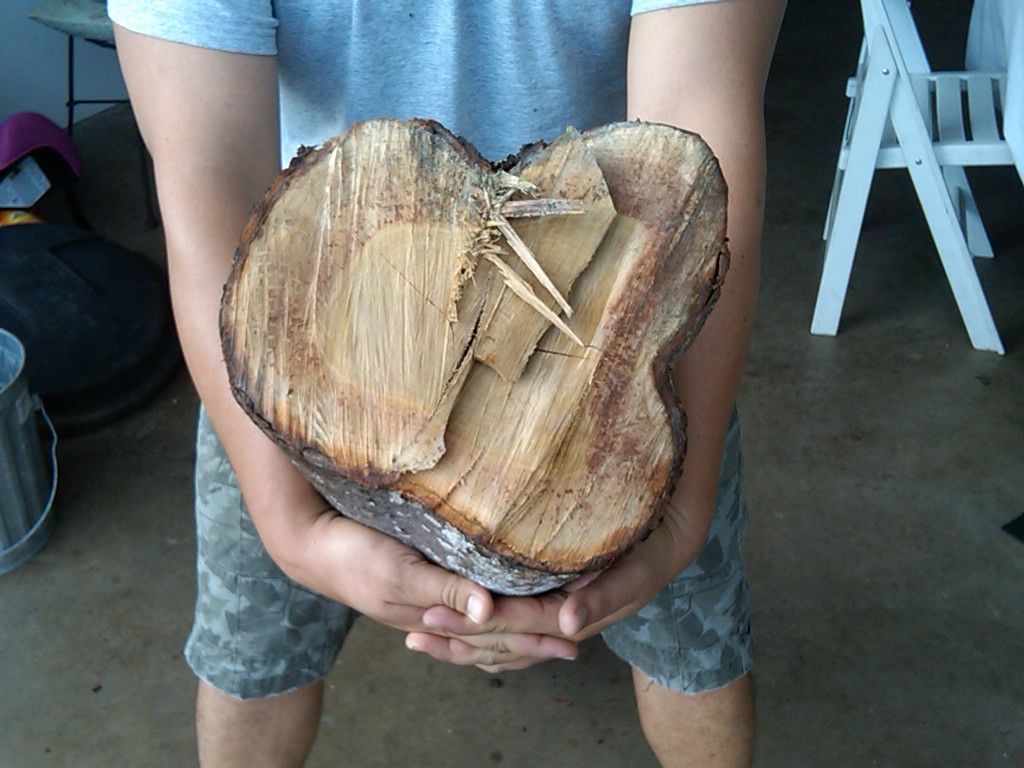 Hawaiian Sandalwood logs
