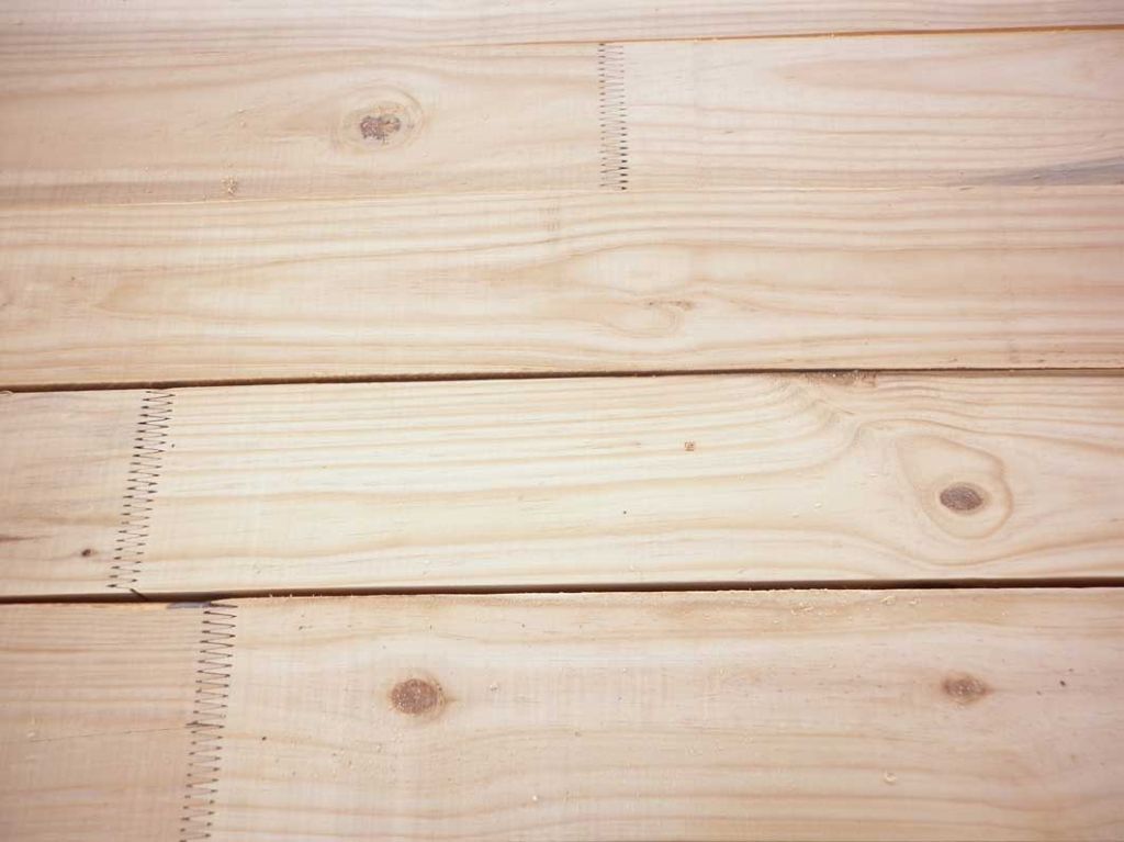 Pine Timber (Pinus, Patula, elliotte and taenda)