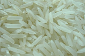 BASMATI RICE EXPORTER| KERNAL RICE WHOLESALER| WHITE RICE MANUFACTURER| LONG GRAIN TRADER| PARBOILED RICE IMPORTERS