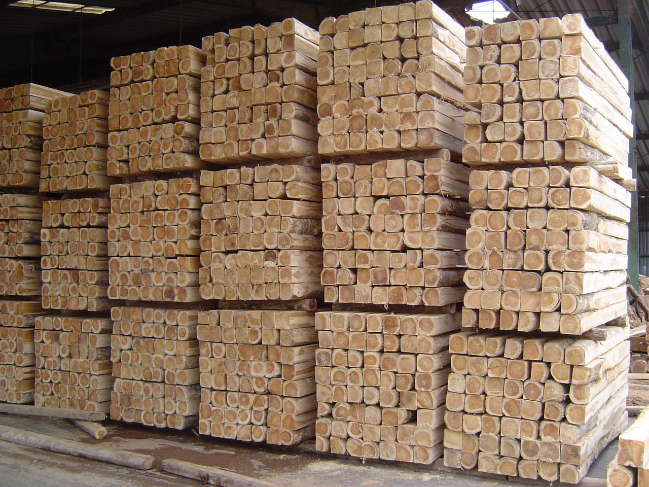 Plantation Teak Square Logs