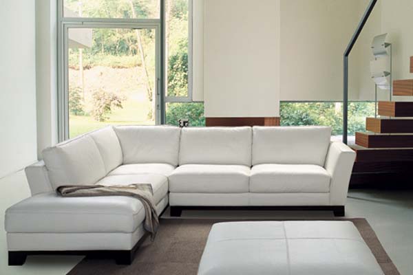 sofa (Leather)