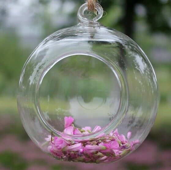 wholesale hanging glass balls and glass Terrariums