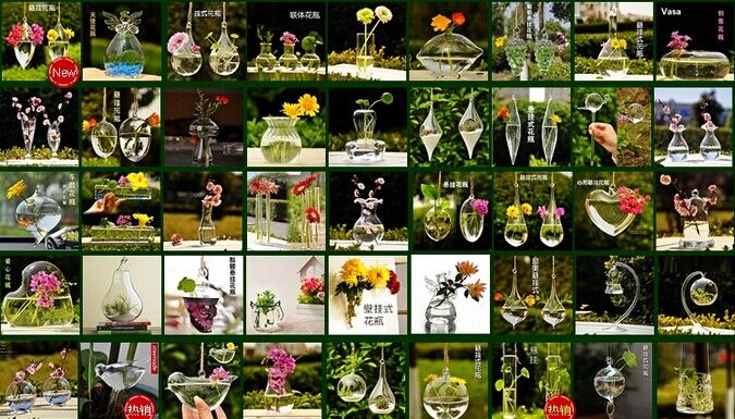 wholesale hanging glass vase garden Aquariums