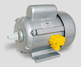 Electric Motor