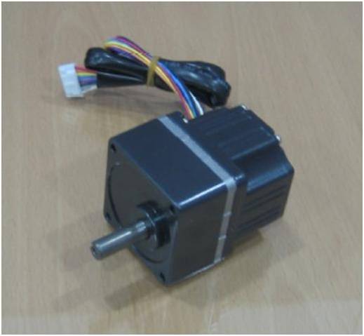 60mm Motor(BLDC)