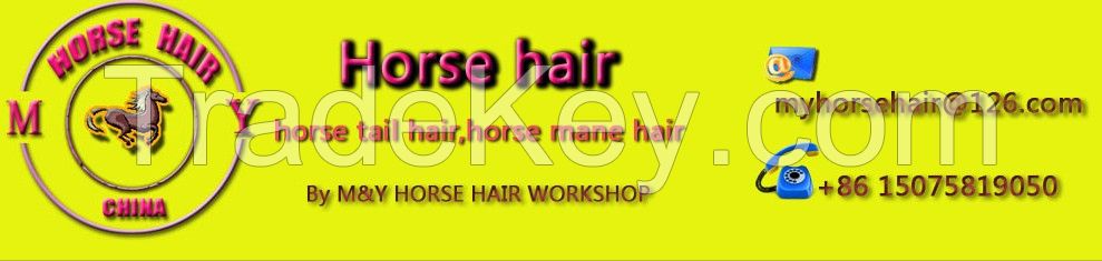 Horse hair scalp locks