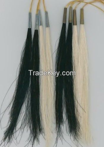 Horse hair scalp locks