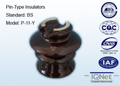 Pin Type Ceramic Insulator