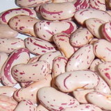 Speckled kidney beans