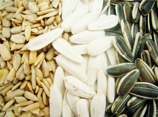 Sunflower seeds & kernels