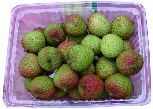 china export fresh lychee / litchi / leechee / lichi / lychi / lichee