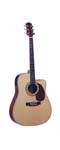 acoustic guitar LDG-17M-CE