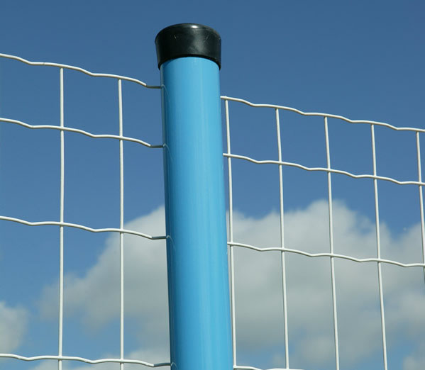 sell euro welded fence netting