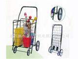 Foldable Shopping Cart