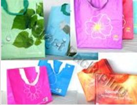 Shopping Bag