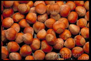 Hazelnut