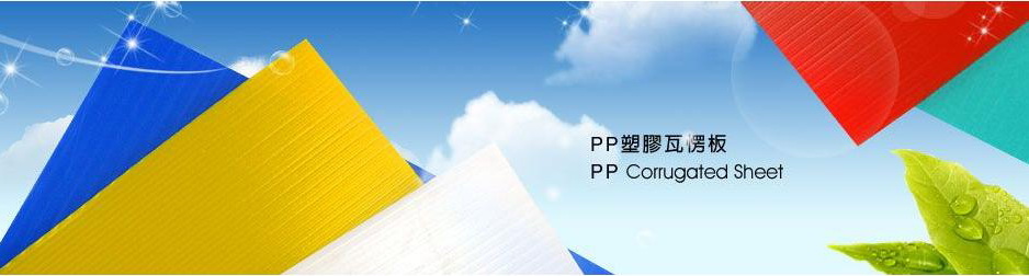 pp Corrugated sheet