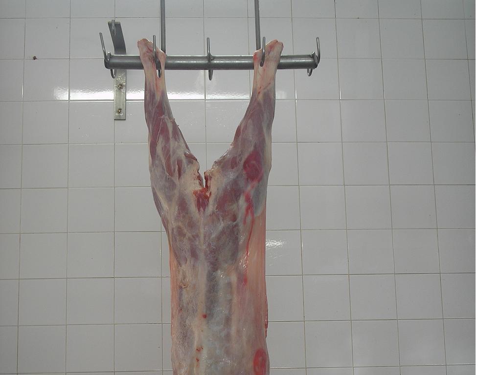 Goat Meat - Halal Certificate