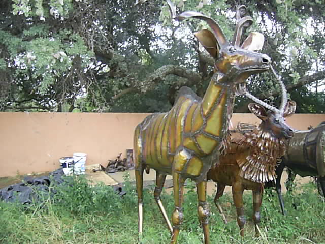 African Kudu