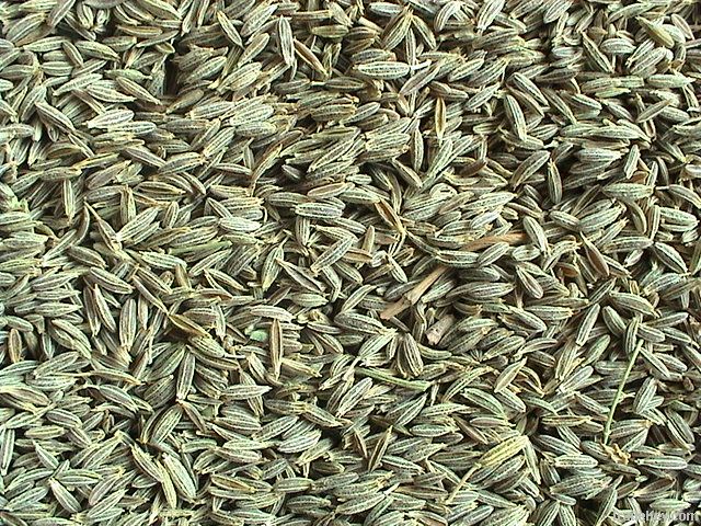 Cumin seeds/ fennel seeds