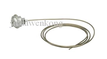 Armored Thermocouple