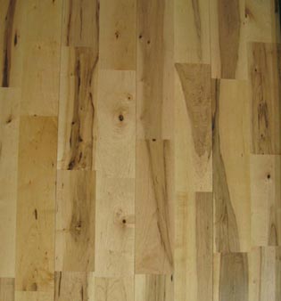 UV Lacquered/Oiled Maple flooring