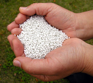 Urea 46% (Origin: Europea)