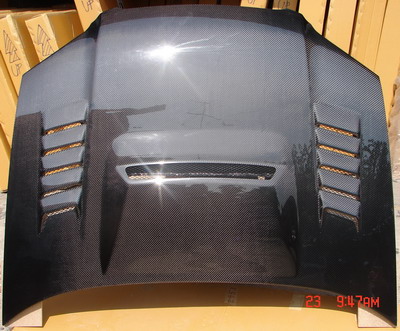 carbon fiber hood