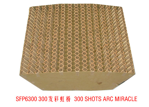 300 SHOTS ARC MIRACLE