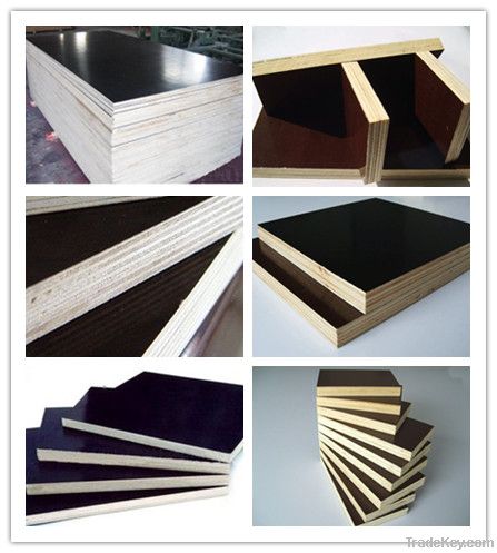 construction plywood