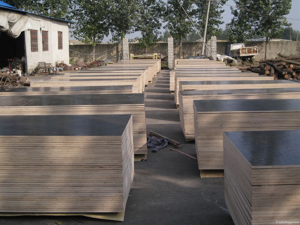film faced plywood for formwork