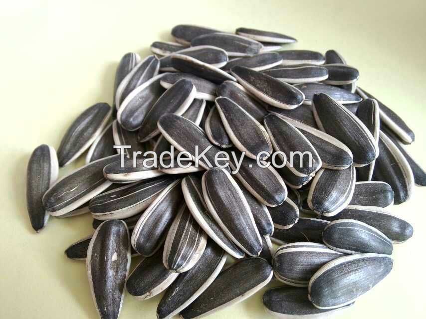 chinese sunflower seed