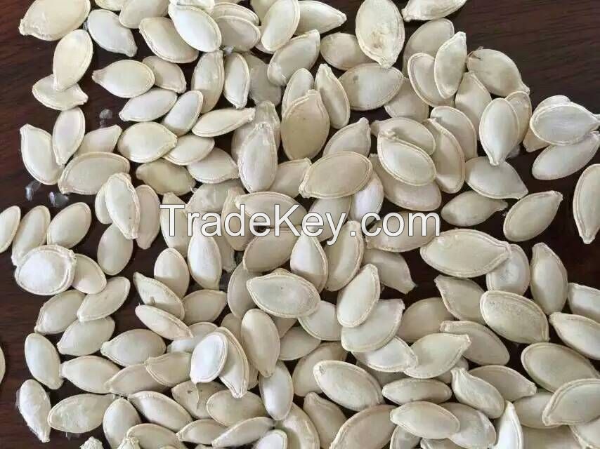 sunflower seeds kernel(confectionary and bakery grade)
