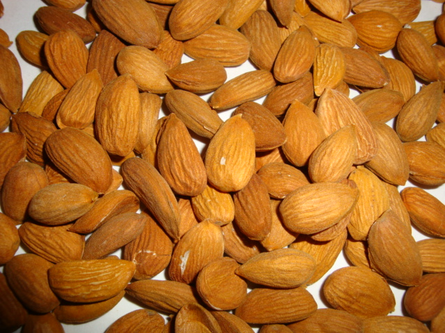 Almond Supplier | Almond Exporter | Almond Manufacturer| Almond Trader | Almond Buyer | Almond Importers | Import Almond