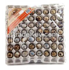 Quail egg tray for 56 cells