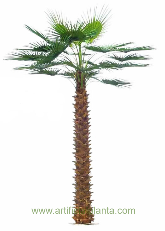 Artificial Palm Tree / Plant (WAP-005)