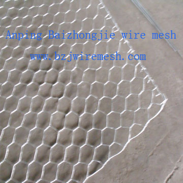 hexagonal wire mesh