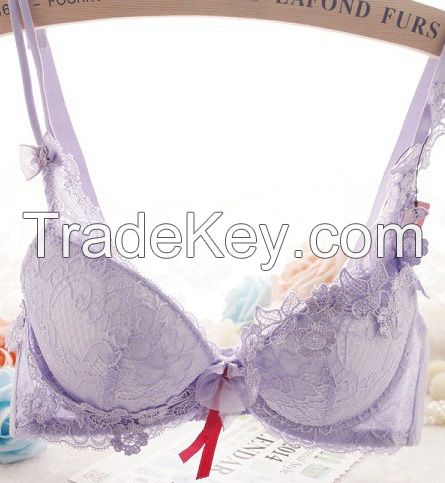 Womens Sexy Lace Embroidery Push up Bra /Display Buyer's Logo Under Small Quantity Subject To Stock Available.