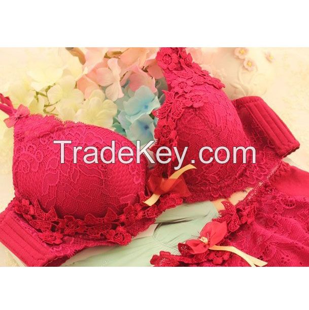 Womens Sexy Lace Embroidery Push up Bra /Display Buyer's Logo Under Small Quantity Subject To Stock Available.