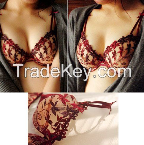 Sexy Transparent Embroidery Lace Bra Sets in stock[Small order are welcomed]